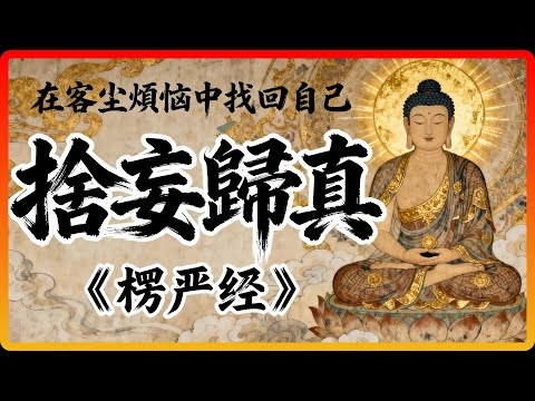 你活在「客塵煩惱」中，卻忘了自己是主人翁！《楞嚴經》教你如何回家！#佛教故事 #佛法 #修行 #開悟 #楞嚴經