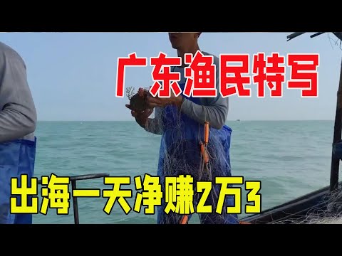Guangdong fishermen earn 23,000 a day when they go to sea,