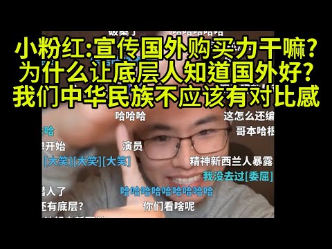 小粉红 你就是个润人,中华民族不该有对比感