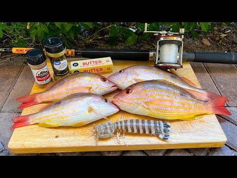 Mantis Shrimp and Snapper Catch n' Cook!!