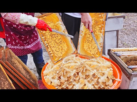 How Honey Is Made–From Hive to Bottle in One Fascinating Process！/蜂蜜怎麼採?從蜂巢到裝瓶全過程一次看懂, 超療癒蜂蜜工廠-蜜蜂工坊
