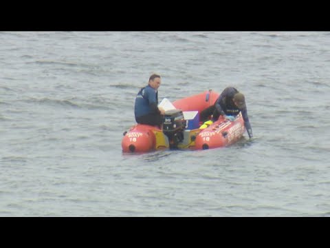 Del Mar shark incident | Scientists use water samples and victim’s wetsuit to test for shark DNA