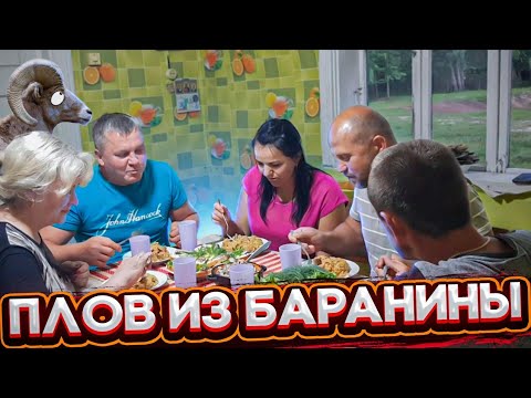 За один день одного барана съели , одного постригли и один родился . Уход за животными в выходные