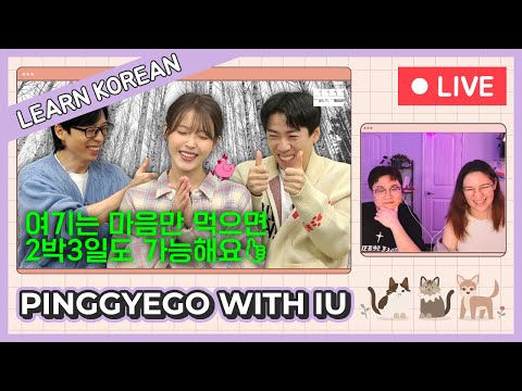Learn Korean with [Pinggyego] Surviving winter is just an excuse (with IU)