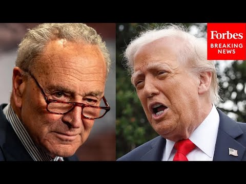 Schumer: This Is Why 'It's The Republicans Shutting Down The Government'
