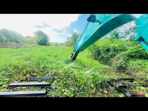 Clearing River Weeds with the Amphibious Excavator | Heavy Machine at Work 💪💪💪🤝