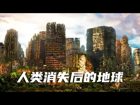 如果人类从地球上消失，10000年里，地球会经历哪些天翻地覆的变化？