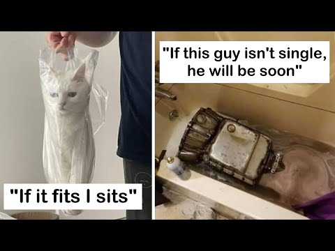 Wildly Funny Pics That Forgot How to Be Normal | HahaHub