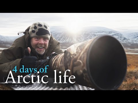 Arctic photography and therapy in wild Svalbard