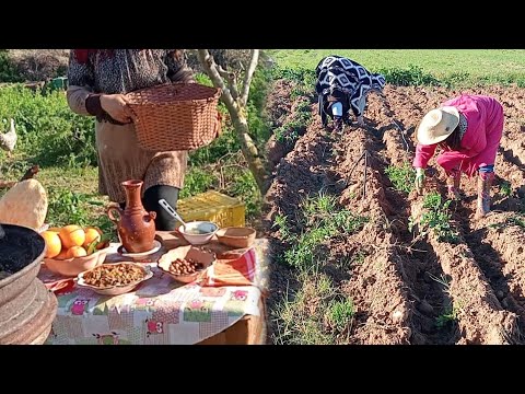 من الريف التونسي / جمع محصول البطاطا🥔/الطبخ في الطبيعه أكله زمنيه تونسيه