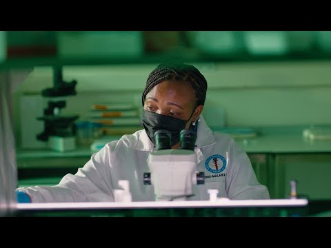 "Are we going to lose lives to malaria again?"