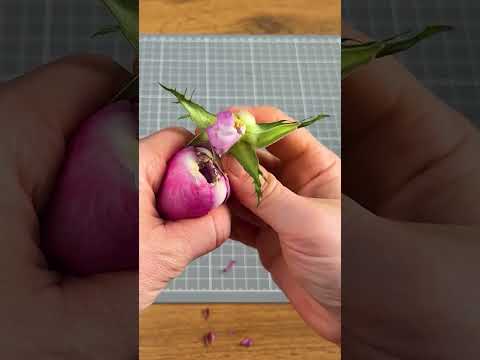 Give your blooms a whole new look with this easy hack! πΈπͺ