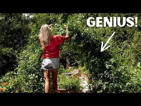 15 Viral Gardening Hacks You’ll Wish You Knew Sooner