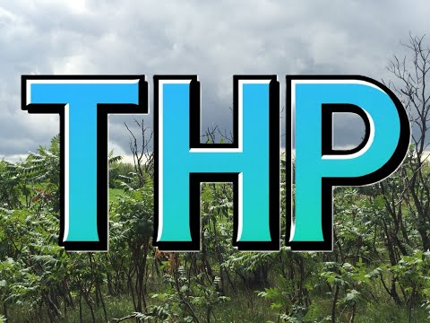 Welcome to THP!