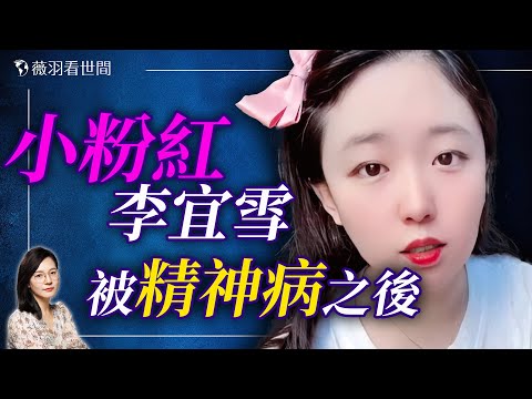 小粉紅被鐵拳砸！李宜雪事件為何牽動十億中國人的心？｜薇羽看世間 20250115