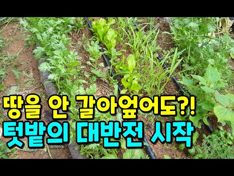 The amazing secret of no-till gardening!