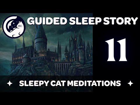 Hagrid’s Picnic & Astronomy - Harry Potter Inspired Sleep Story ('Yer a Wizard') Ep 11/16