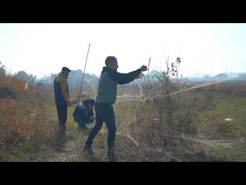 ловля щеглов 13.10.2020
