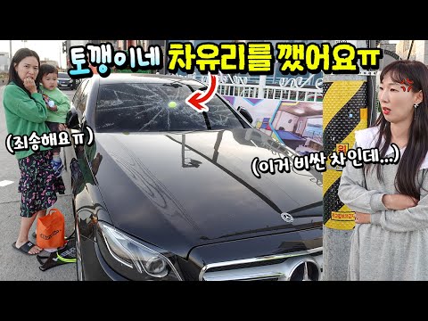 공놀이 하다가 토깽이네 차동차 유리를 깼어요! 이거 얼마짜리 차인데 ㅠㅠ 죄송합니다! 가짜 공 벤츠 반응 보기 몰래카메라 ㅋㅋㅋ 과연 속을까? 꿀잼 일상 | 말이야와친구들