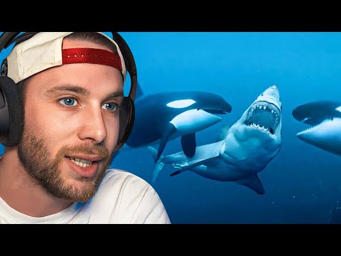 INTENSE UNDERWATER FIGHTS