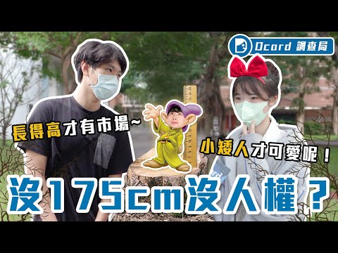 沒175的先淘汰？擇偶身高條件殘忍公開！身高沒到的先別走，這裡還有些補救方式...【會在意身高嗎】Dcard調查局｜Dcard.Video