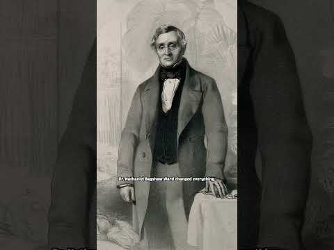 this box changed the world @britishlibrary