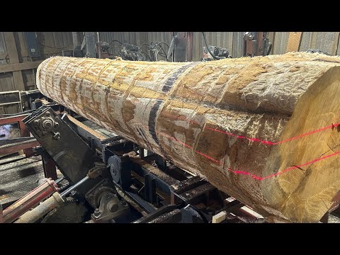 Saw-Milling a 24 Inch Diameter Red Oak in the Saw Booth! #198