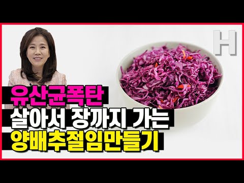 양배추요리 유산균폭탄 양배추절임.  당신의 장이 새로 태어납니다! 무조건 해보세요.