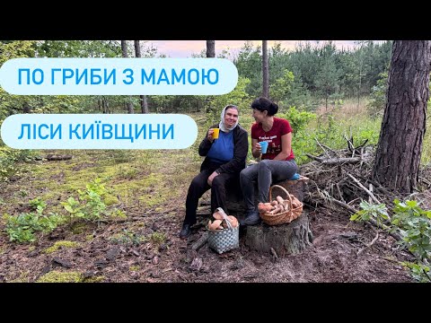 Mushroom picking with mom. 🥰Forests of Kyiv region 07.08.25 Evening quiet hunting continues.