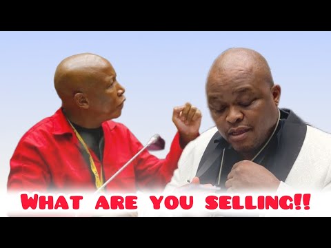 Julius Malema," Why is Brown Mogotsi calling himself an entrepreneur"
