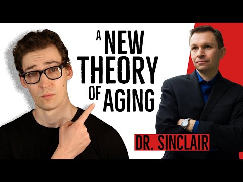 Dr. Sinclair’s New Theory of Aging, Explained.