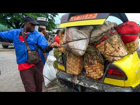 Cameroon: The Last Drivers of the Jungle | Deadliest Journeys