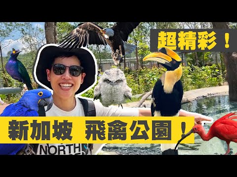 亞洲最大鳥類樂園!超過400種美麗鳥兒就在身邊!自在飛翔~精彩猛禽秀!新加坡必去景點!