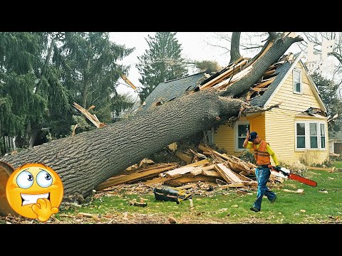 TOTAL IDIOTS AT WORK #15 | Instant Regret Fails Compilation 2025 | Funny & Hilarious People Life.