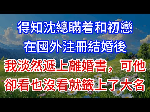 得知沈總瞞着和初戀在國外注冊結婚後，我淡然遞上離婚書，可他卻看也沒看就籤上了大名