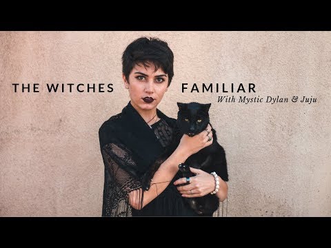 The Witches Familiar with Dylan || Coven Craft