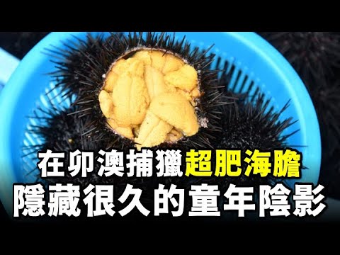 快消失的捕撈文化！你知道台灣的海膽在哪裡抓的？我在秘境等海男阿公上岸，買了很多顆海膽回家。這是正宗的台灣海膽料理！