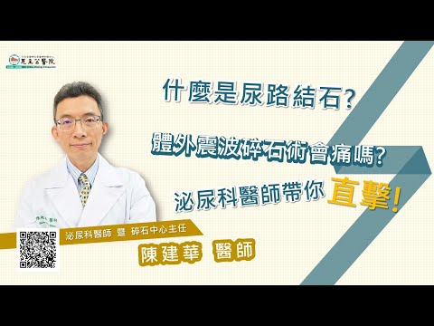 什麼是尿路結石？體外震波碎石術會痛嗎？泌尿科醫師帶你直擊！