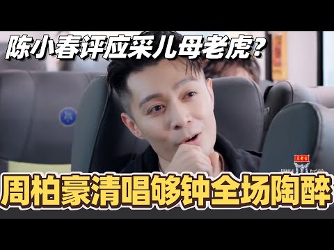 #披荆斩棘2025 周柏豪清唱够钟全场陶醉！陈小春锐评应采儿母老虎？！#综艺 #音乐 #披荆斩棘 #0713 #张智霖 #李承铉 #陈小春 #周柏豪