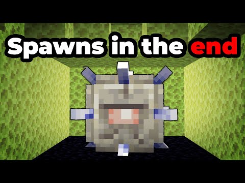 Rare Anomalies in Minecraft #9