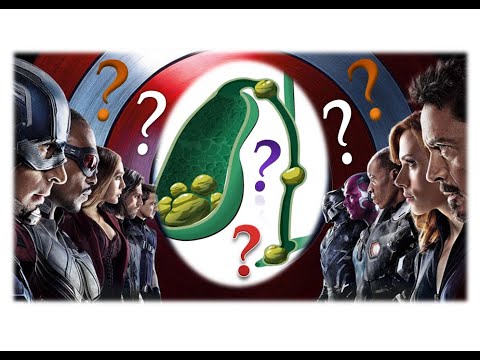 Нашли камни в желчном пузыре: оперировать или нет? Извечная дискуссия хирургов и терапевтов.