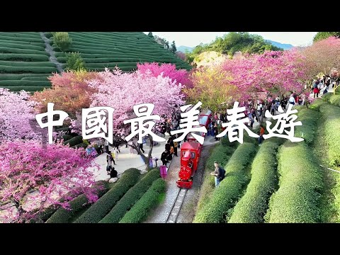 中國十大最美春季旅遊景點，帶上閨蜜朋友踏青賞花，享受春日的浪漫！【樂樂視界】#春季旅遊