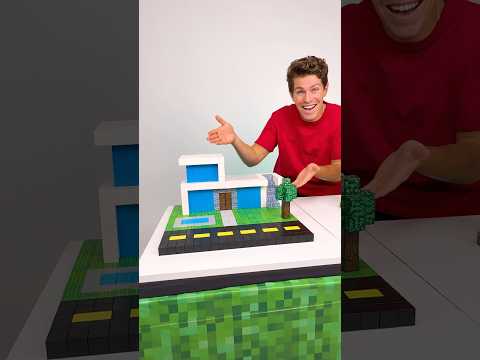 I Built Minecraft In Real Life!