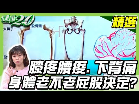 膝疼腰痠、下背痛，身體老不老屁股決定？學會3招強化髖關節，行動更犀利！【健康2.0精選】