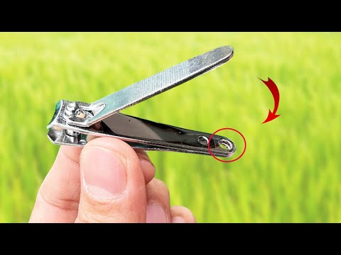 99% of people don't know this secret use of nail clippers!