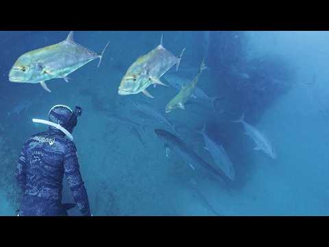 A Charter Captain Took Me SPEARFISHING (You Won’t BELIEVE What We Saw!)