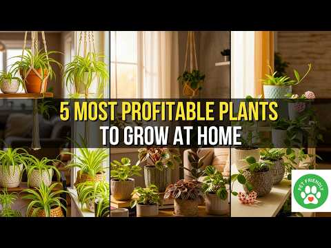 5 Plants You Can Grow at Home and Sell for Profit