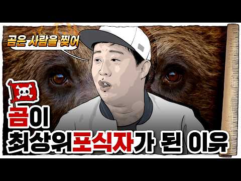 💀 잡식동물류 최강의 동물… 곰🐻 / 💀 곰이랑 싸우면 이길 수 있을까?