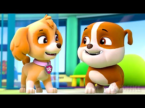 Ruben rejoint l'équipe! | Les Moments les plus MIGNONS de la Pat' Patrouille 🌀 4K