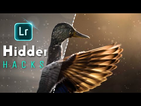 8 CRAZY LIGHTROOM HACKS TO CHANGE HOW YOU PROCESS IMAGES FOREVER!